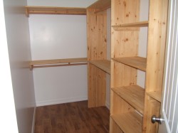 Spacious closet featuring dark wood-style flooring - 