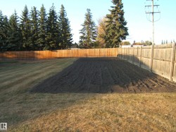 View of fenced backyard - 