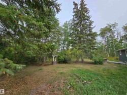 View of green lawn - 