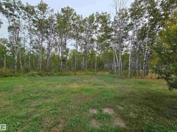 View of green lawn - 