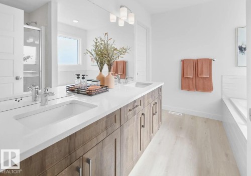 22376 90 Avenue, Edmonton, AB - Indoor Photo Showing Bathroom