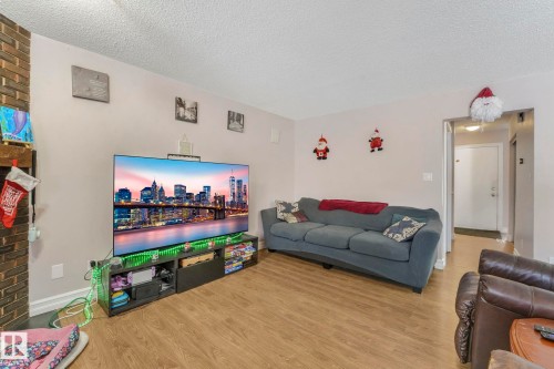 11811 32A Avenue, Edmonton, AB - Indoor Photo Showing Living Room