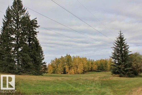 View of wooded area - 49454 Range Road 241, Rural Leduc County, AB 