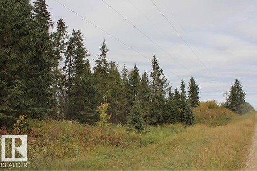 View of wooded area - 49454 Range Road 241, Rural Leduc County, AB 