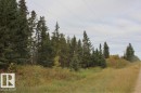 View of wooded area - 49454 Range Road 241, Rural Leduc County, AB 