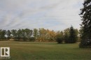 View of grassy yard - 49454 Range Road 241, Rural Leduc County, AB 