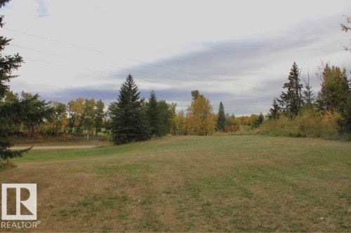 View of grassy yard - 49454 Range Road 241, Rural Leduc County, AB 