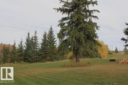 View of grassy yard - 49454 Range Road 241, Rural Leduc County, AB 