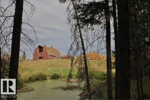 View of yard featuring a barn and an outbuilding - 49454 Range Road 241, Rural Leduc County, AB 