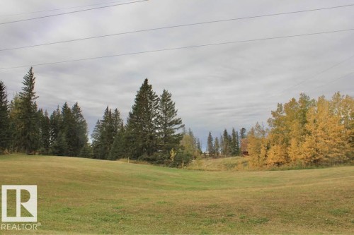 View of tree filled area - 49454 Range Road 241, Rural Leduc County, AB 