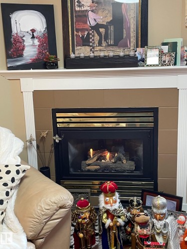 112 6703 172 Street Nw, Edmonton, AB - Indoor Photo Showing Living Room With Fireplace
