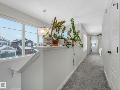 Hallway with carpet flooring, a textured ceiling, and an upstairs landing - 4447 Kinsella Green, Edmonton, AB - Indoor Photo Showing Other Room