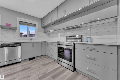 3415 25 Street, Edmonton, AB - Indoor Photo Showing Kitchen With Upgraded Kitchen