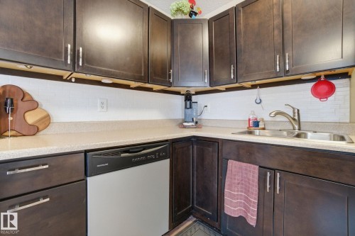 9904 171 Avenue Nw, Edmonton, AB - Indoor Photo Showing Kitchen With Double Sink