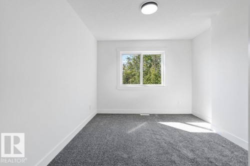 207 39 Avenue, Edmonton, AB - Indoor Photo Showing Other Room