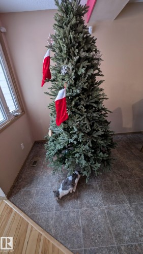 Detailed view of wood finished floors - 4 Amberly Crest, Edmonton, AB - 