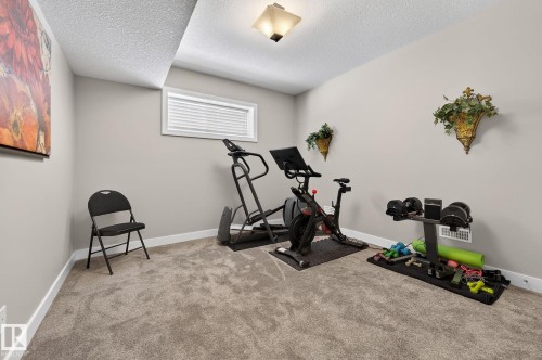53 Dragonfly Point, Fort Saskatchewan, AB - Indoor Photo Showing Gym Room