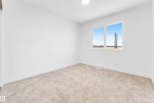 18904 29 Avenue, Edmonton, AB - Indoor Photo Showing Other Room