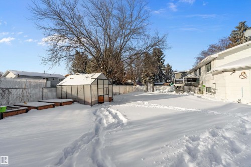 Snowy yard with a greenhouse, a wooden deck, and an outdoor structure - 145 Plum Crescent, Wetaskiwin, AB - Outdoor