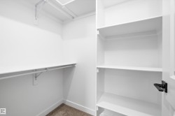 Walk in closet with dark carpet - 