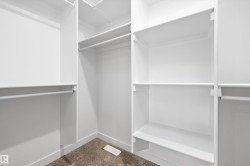 Spacious closet featuring carpet - 