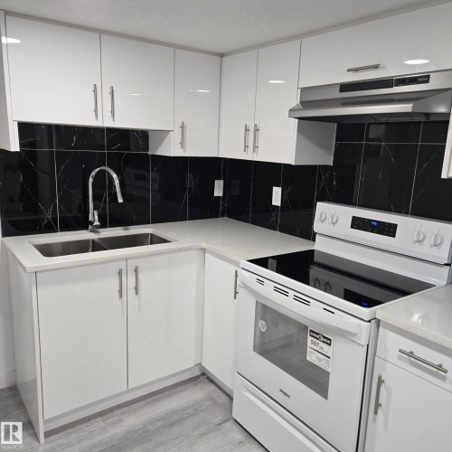 Basement 9606 Colak Link, Edmonton, AB - Indoor Photo Showing Kitchen With Double Sink