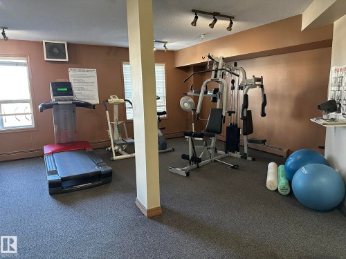 315 9730 174 Street, Edmonton, AB - Indoor Photo Showing Gym Room