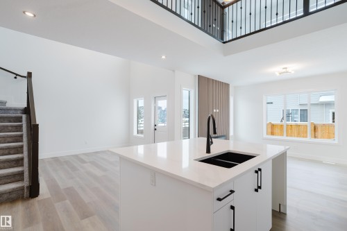 2704 194 Street, Edmonton, AB - Indoor Photo Showing Kitchen With Double Sink