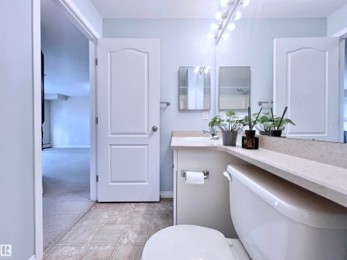 206 111 Edwards Drive, Edmonton, AB - Indoor Photo Showing Bathroom