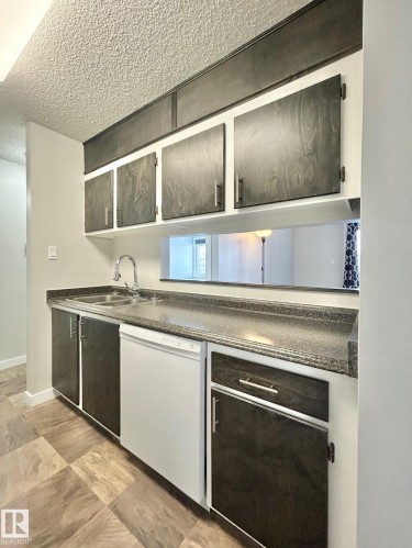 215 600 Kirkness Road, Edmonton, AB - Indoor Photo Showing Kitchen With Double Sink