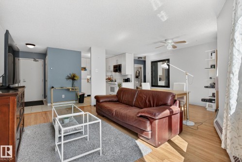 9916 113 Street, Edmonton, AB - Indoor Photo Showing Living Room