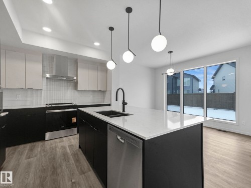 2203 158 Street, Edmonton, AB - Indoor Photo Showing Kitchen With Double Sink With Upgraded Kitchen