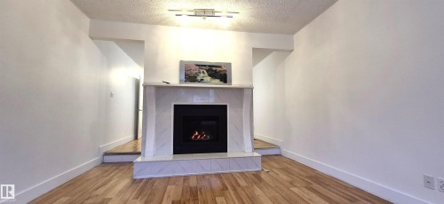 3619 30 Avenue, Edmonton, AB - Indoor With Fireplace