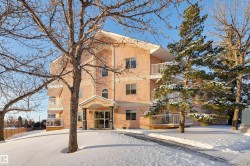 307 6310 101 Avenue  Edmonton, AB T6A 0H5
