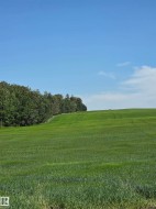 HWY 2A RR245  Rural Leduc County, AB T0C 1Z0