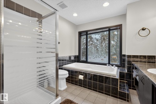 113 53226 Rge Road 261, Rural Parkland County, AB - Indoor Photo Showing Bathroom