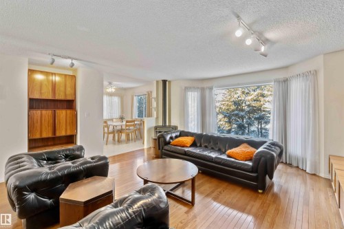 11620 170 Avenue, Edmonton, AB - Indoor Photo Showing Living Room