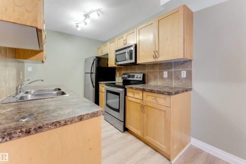 104 18008 62B Avenue, Edmonton, AB - Indoor Photo Showing Kitchen With Double Sink