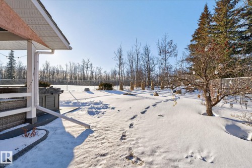 47 Willow Springs Crescent, Sylvan Lake, AB - Outdoor