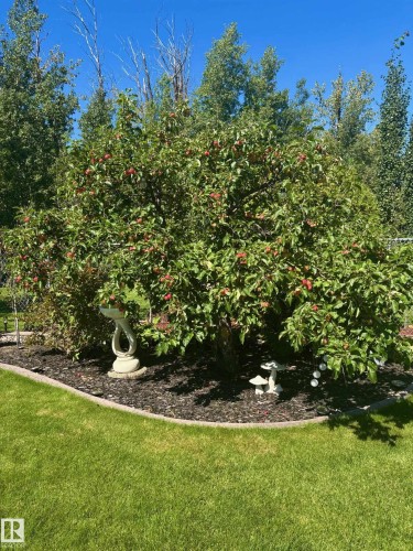 47 Willow Springs Crescent, Sylvan Lake, AB - Outdoor