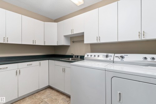 203 10610 76 Street, Edmonton, AB - Indoor Photo Showing Laundry Room