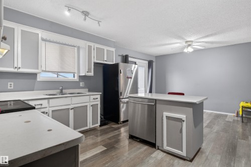 1732 61 Street, Edmonton, AB - Indoor Photo Showing Kitchen With Double Sink