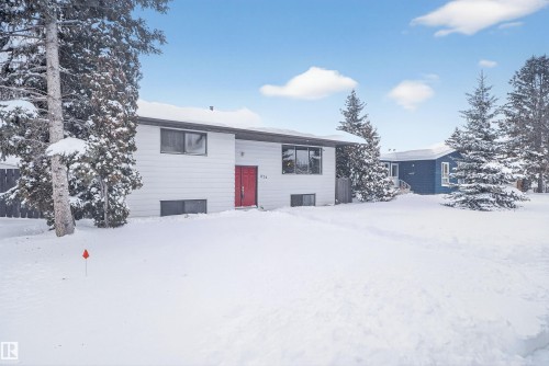 1732 61 Street, Edmonton, AB - Outdoor