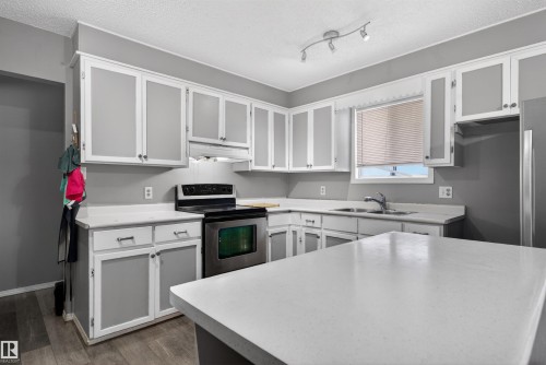 1732 61 Street, Edmonton, AB - Indoor Photo Showing Kitchen With Double Sink