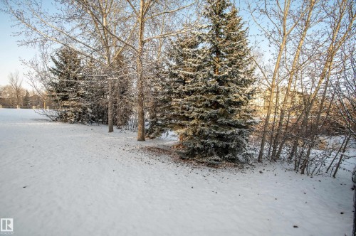 161 Hayward Crescent, Edmonton, AB - Outdoor