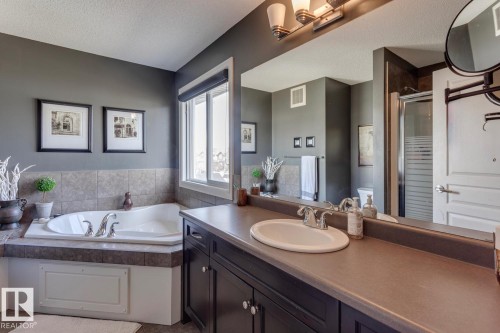 4109 Charles Link Link, Edmonton, AB - Indoor Photo Showing Bathroom