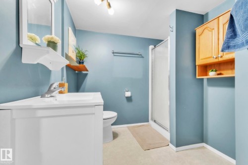 10851 92 Street, Edmonton, AB - Indoor Photo Showing Bathroom