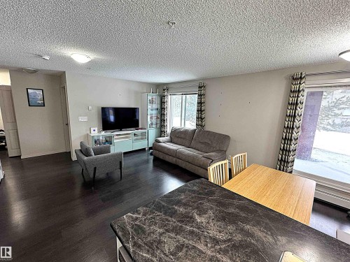 117 5521 7 Avenue, Edmonton, AB - Indoor Photo Showing Living Room