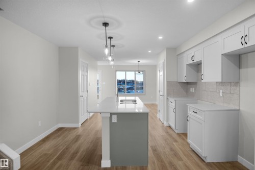 20919 16 Avenue, Edmonton, AB - Indoor Photo Showing Kitchen With Double Sink