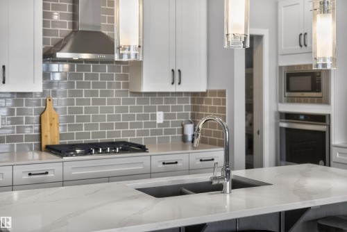 3230 Parker Loop, Edmonton, AB - Indoor Photo Showing Kitchen With Double Sink With Upgraded Kitchen